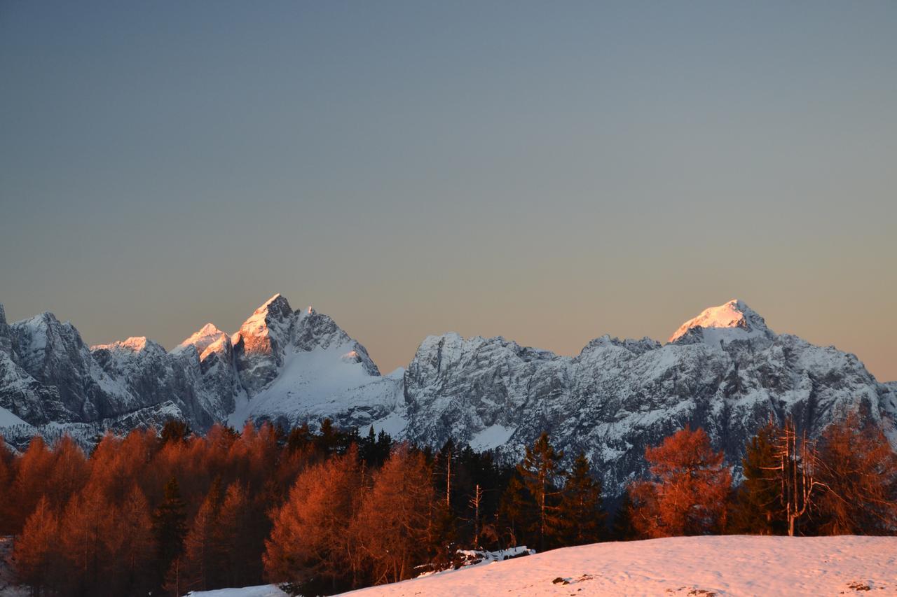 Apartment Leposa Kranjska Gora Dış mekan fotoğraf